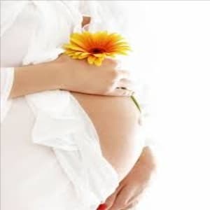 The Nurture Series  6/60 at Body Blueprint Wellness in Cohasset Office, MA